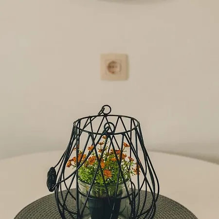 بيت ضيافة Pivas